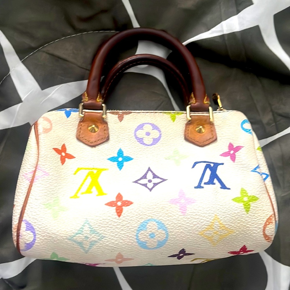 Louis Vuitton multi color mini